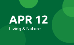 Apr 12: Living & Nature